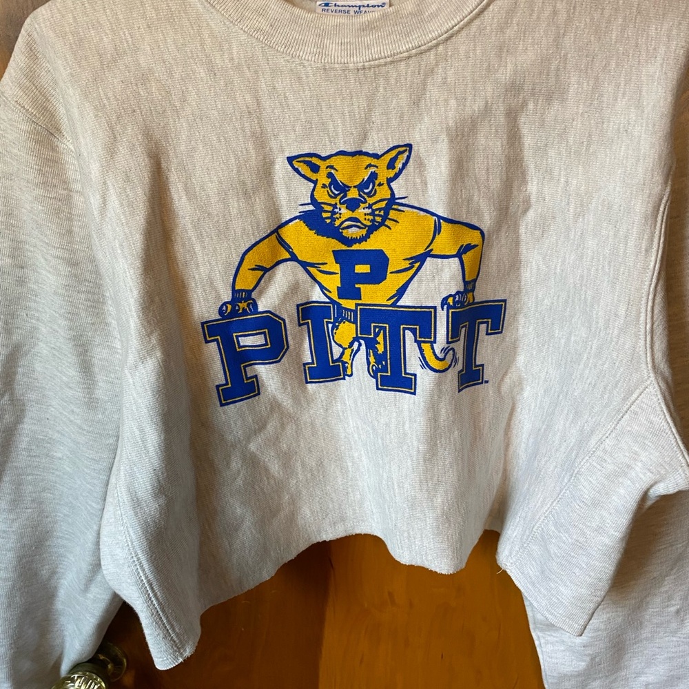Vintage style Pitt Panthers Cropped sweatshirt